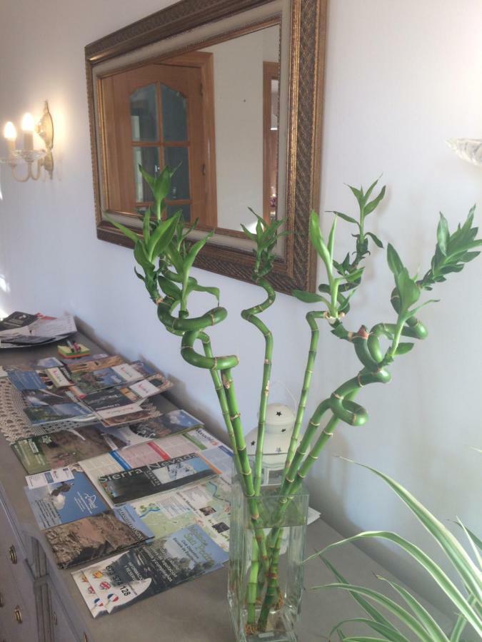 Bonita Casa En Barrio De Monachil Διαμέρισμα Γρανάδα Εξωτερικό φωτογραφία